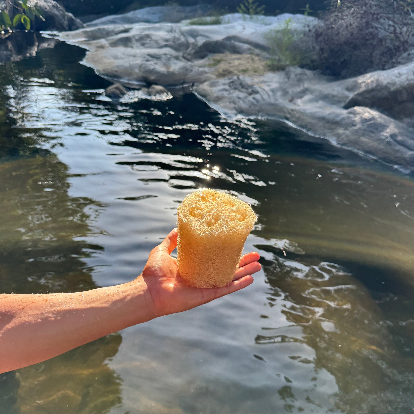 Luffa