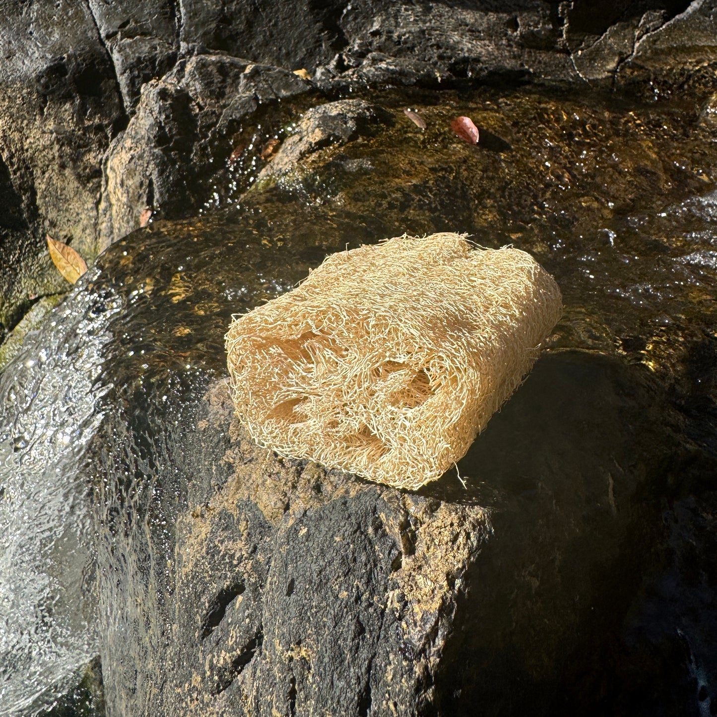 Luffa