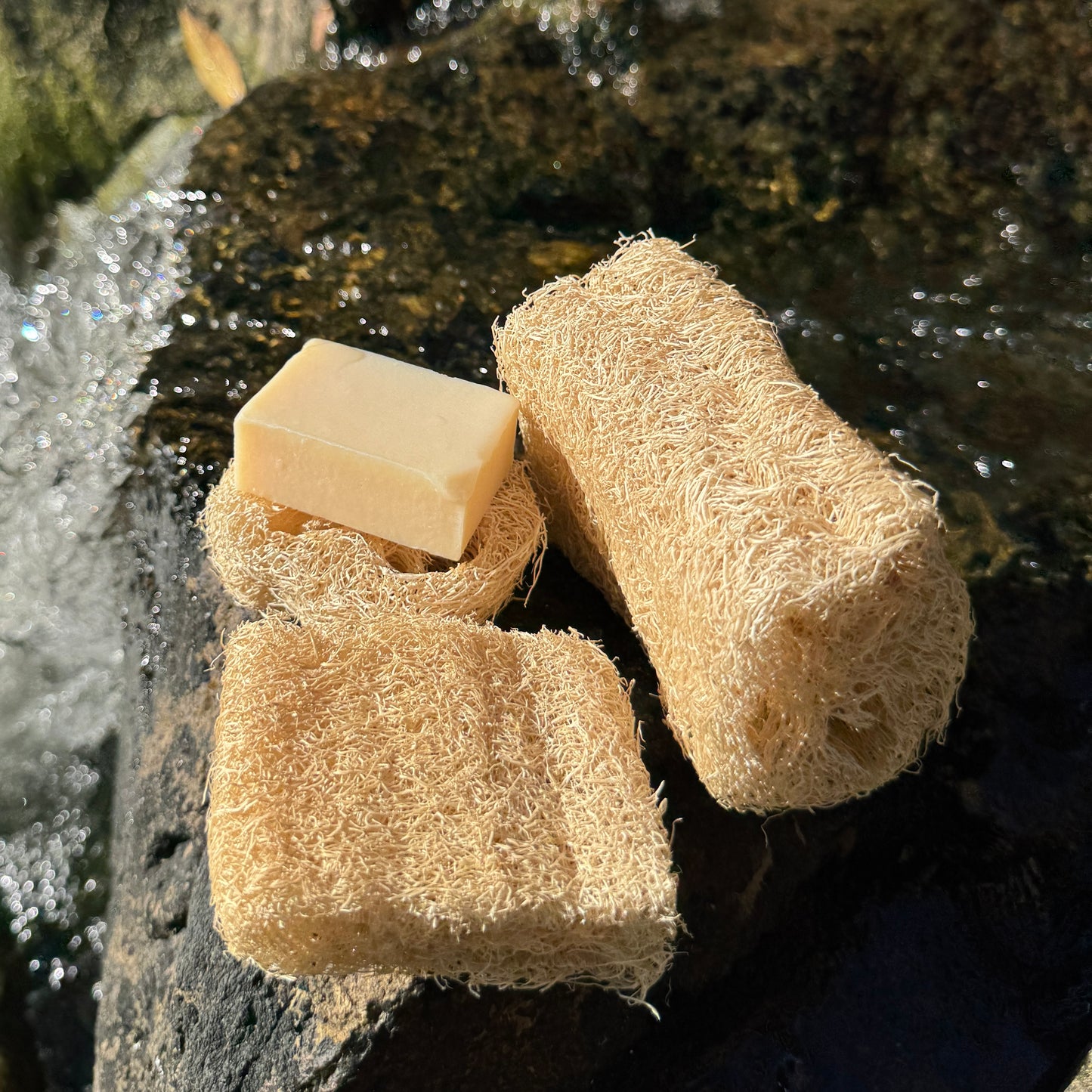 Luffa
