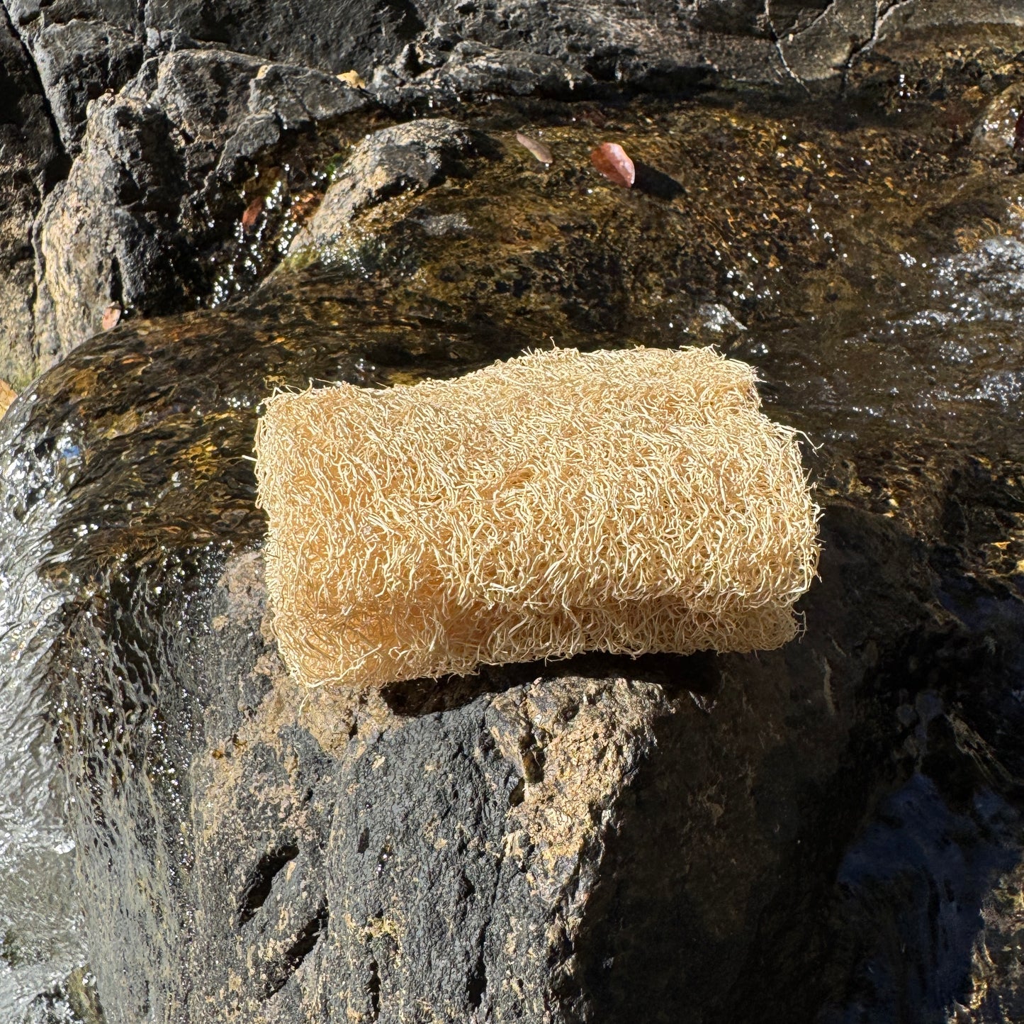 Luffa