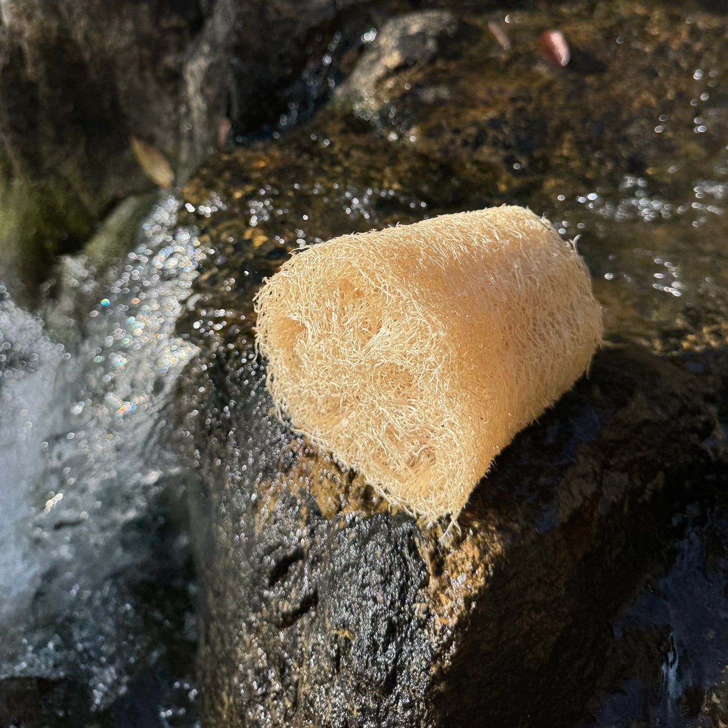 Luffa