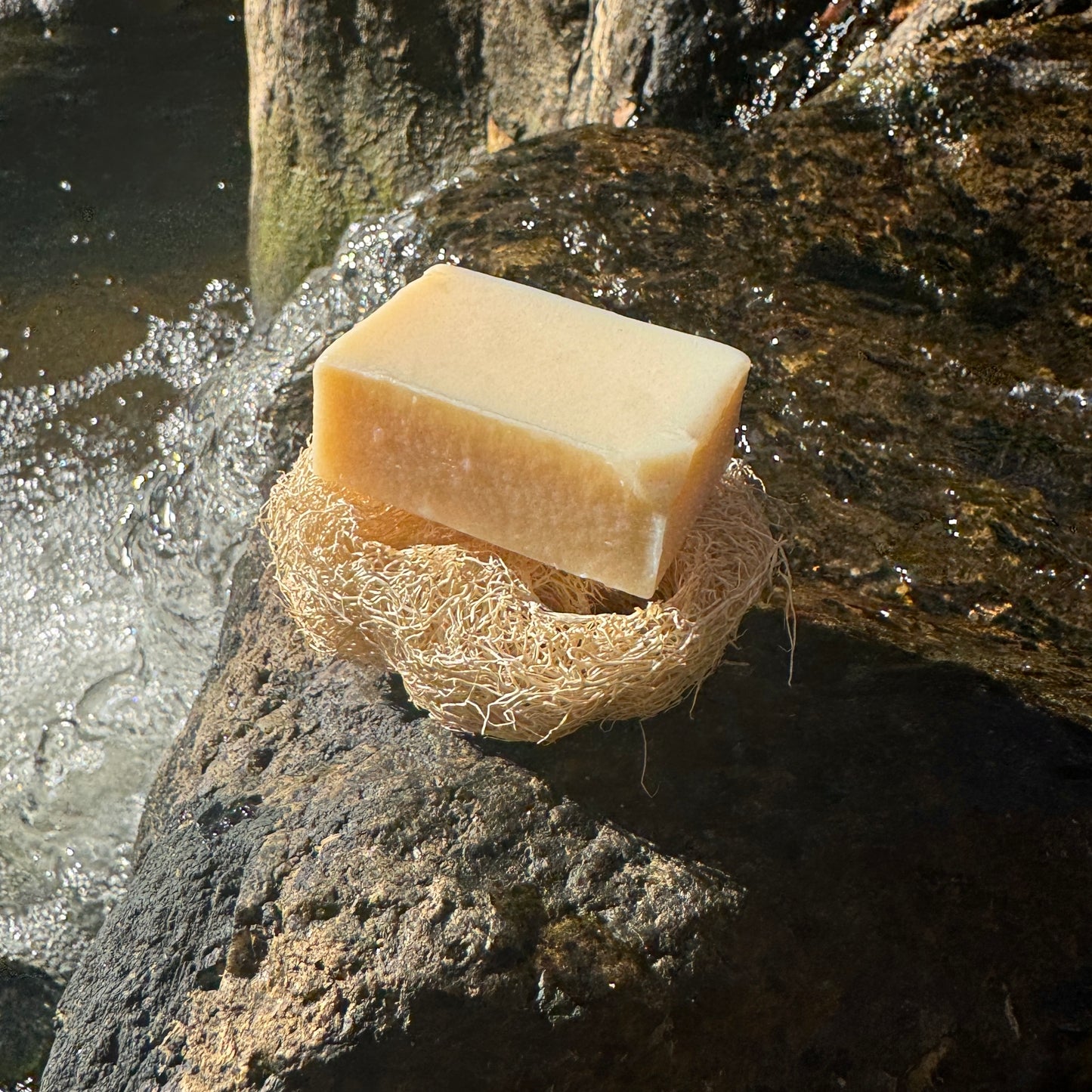 Luffa