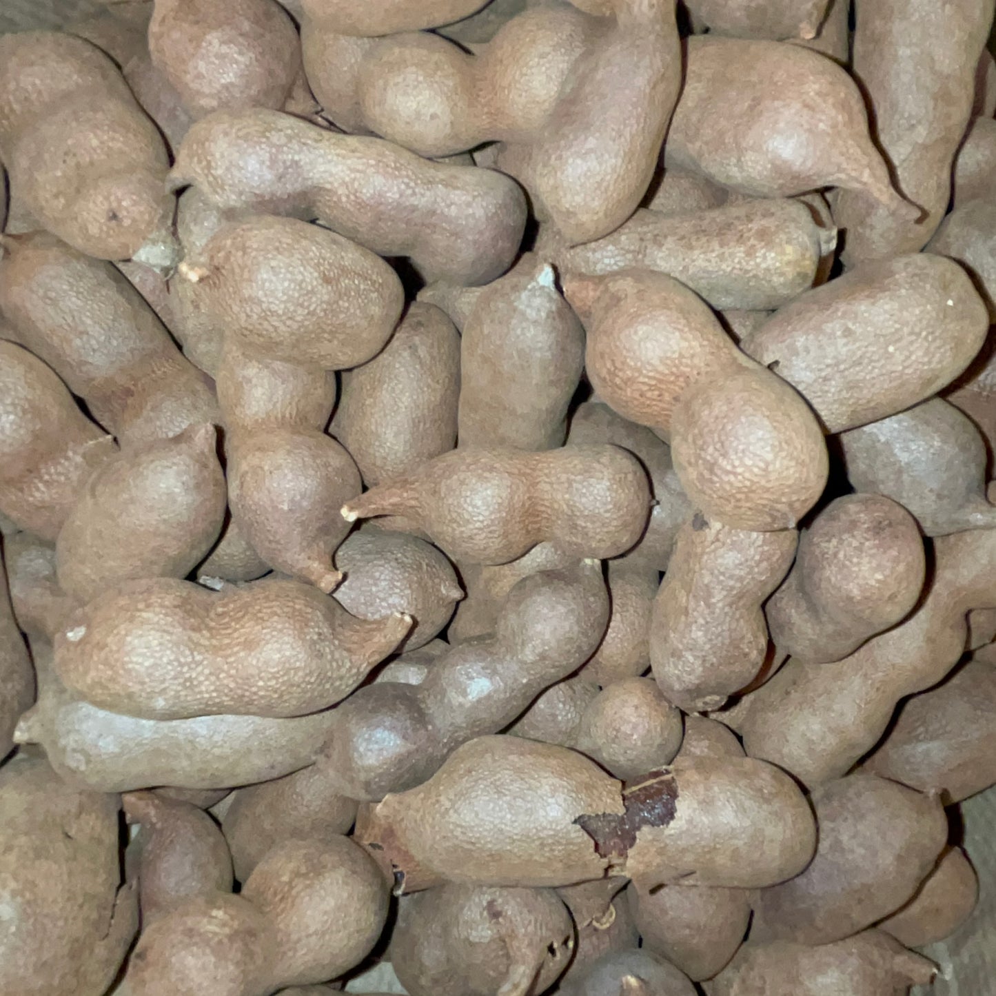 Tamarinde