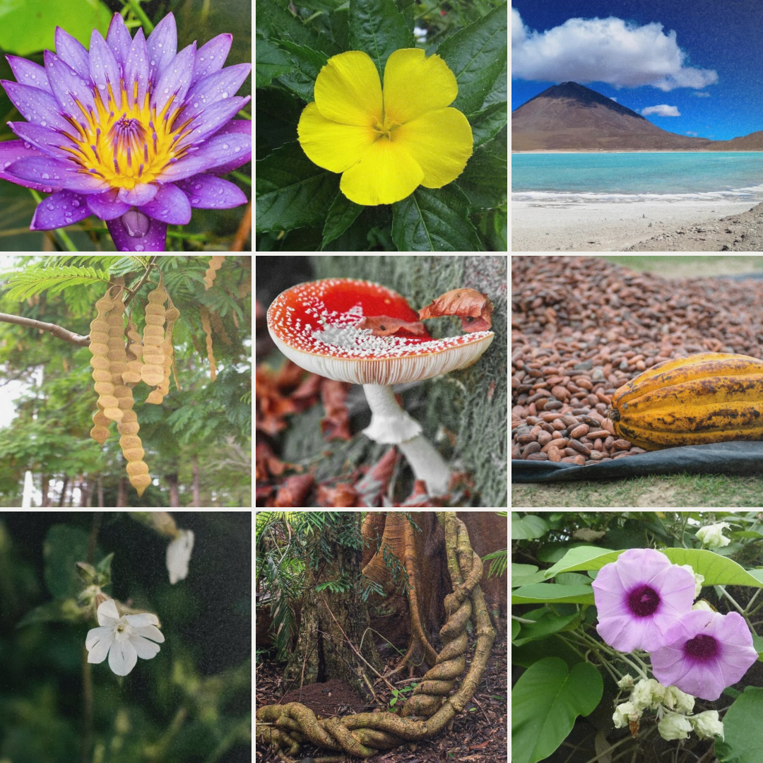 Choose between S,M,L